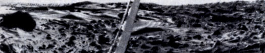 Рис. 14. Панорама (снятая при апертуре 100°) места посадки спускаемого аппарата 'Викинга-1'. Изображение как бы разделено на две части метеорологической мачтой космического аппарата. Большой камень слева, в ходе исследований получивший название Большой Джо, имеет примерно 3 м в длину. (НАСА, Лаборатория реактивного движения.)